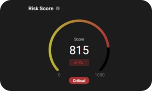 Risk Scoring and Severity Reporting