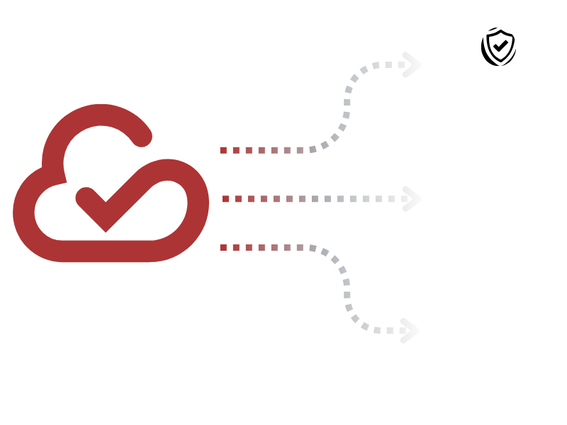 DNS Remediation Workflow image