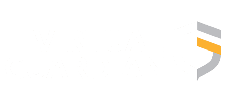 Virtual Guardian logo