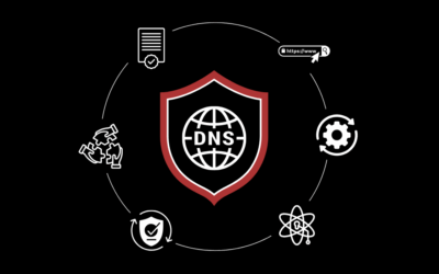Take Control of DNS Security