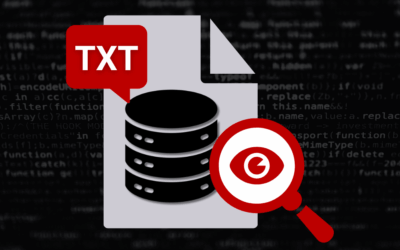 Why DNS TXT Records Deserve Governance in Security Programs