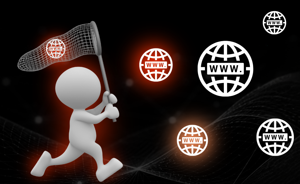 Drop Catch Domains: What They Are, Why They Matter, and How to Act